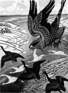 *И. Билибин.* Иллюстрация к былине «Вольга». 1927 г.